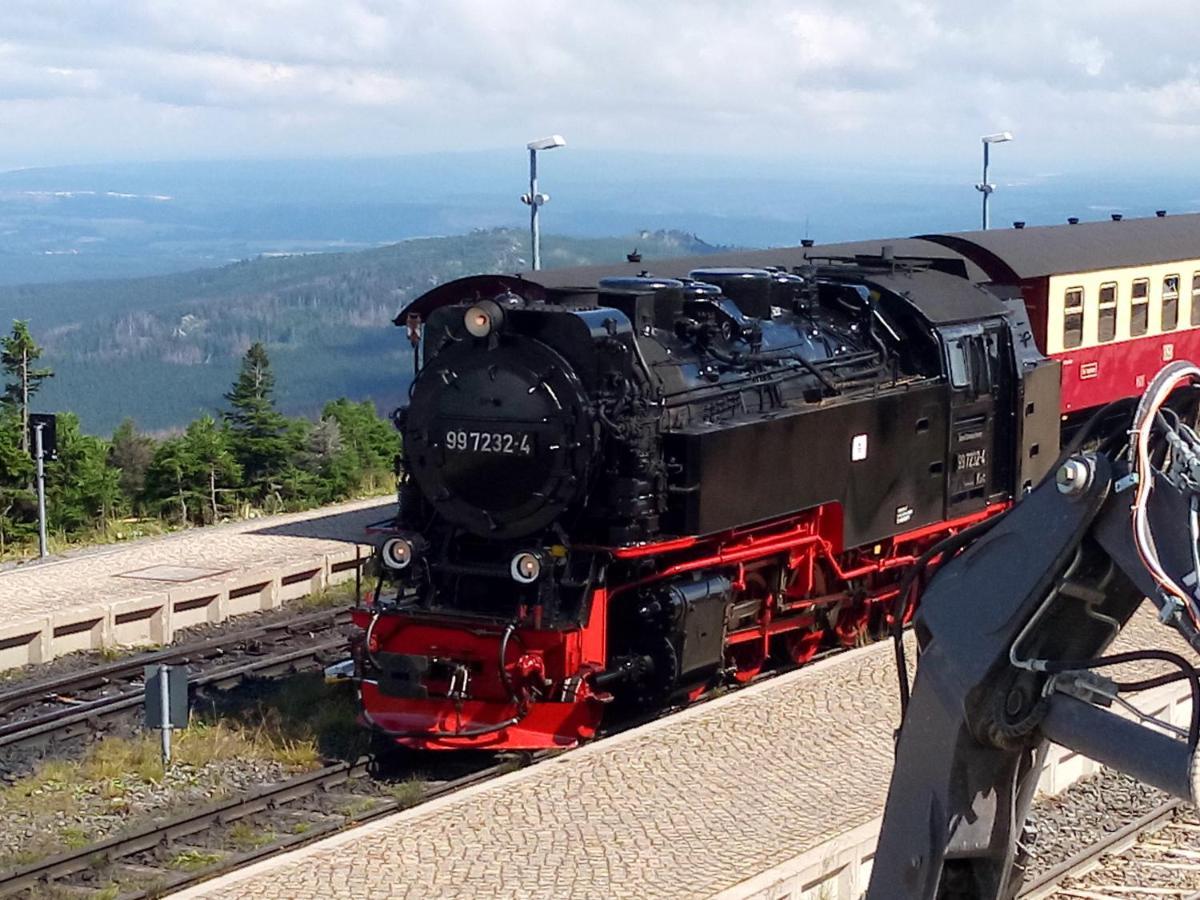 Ferienhaus Wernigerode "Am Schlossbuehel" 5 Schlafzimmer المظهر الخارجي الصورة