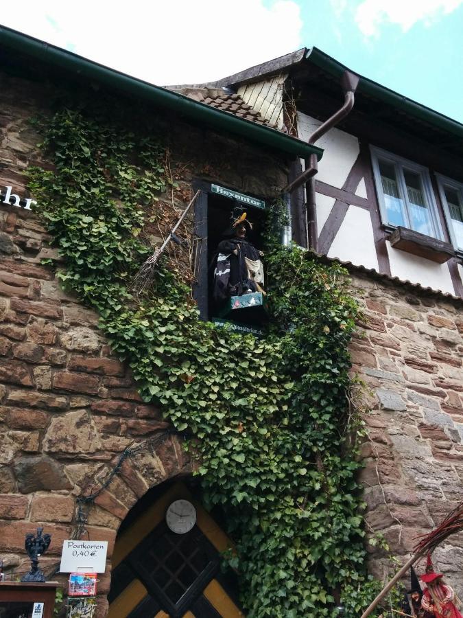 Ferienhaus Wernigerode "Am Schlossbuehel" 5 Schlafzimmer المظهر الخارجي الصورة